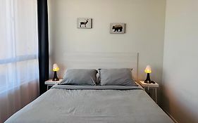 Cómodo Apartamento en Santiago Studio